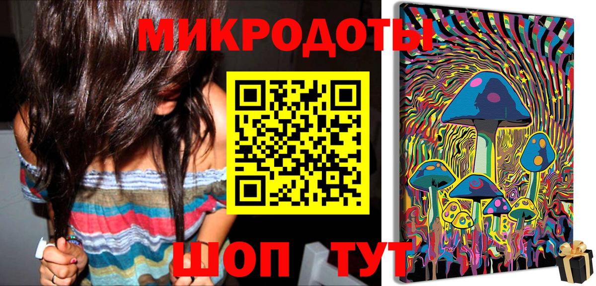 Псилоцибиновые грибы Cubensis Обь