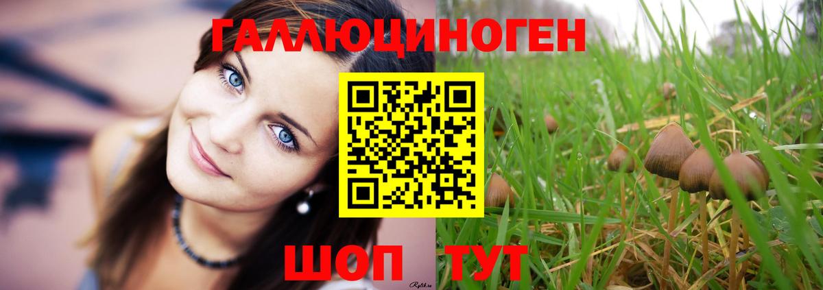 Обь  закладка  Вход с VPN  Псилоцибиновые грибы GOLDEN TEACHER  Псилоцибиновые грибы Cubensis 